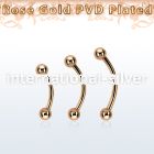 bnttb4 belly rings anodized surgical steel 316l eyebrow