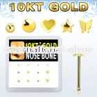dginb16 box w 10kt gold nose bones w mixed plain tops