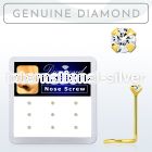 dgisc15 box w 10kt gold nose screws w 1.5 real prong set diamond