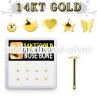 dgnb16 box w 14kt gold nose bones w mixed plain tops