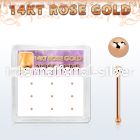 drnb5 925 silver nose bones nose piercing