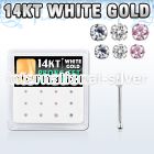 dwnb12 gold nose bones nose piercing