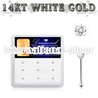 dwnb15 gold nose bones nose piercing