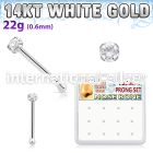 dwnb22 nose bone gold nose