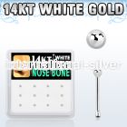 dwnb5 gold nose bones nose piercing