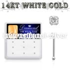 dwnb6 nose bone gold nose