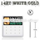 dwys5 box w 14kt white gold bend it nose studs w 1.5mm balls