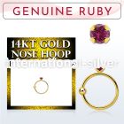 ghge5 nose hoop gold nose