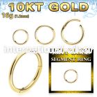 gisegh16 10 karat yellow gold 16g hinged segment hoop