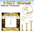 glbrdi 14 karat gold labret stud 16g round top internal