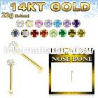 gnbzm1 nose bone gold nose