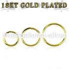 gpsel18 seamless segment rings silver 925 eyebrow