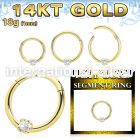 gsegh18z2 14 karat gold hinged segment hoop 18g prong set cz