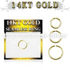 gsel16 seamless segment rings gold nose