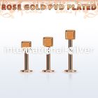 lbttdi3 straight barbells anodized surgical steel 316l tragus