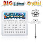 nbp19cx nose bone silver 925 nose