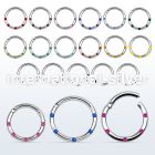 segh16j seamless segment rings surgical steel 316l eyebrow