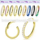 sgtsh10 anodized surgical steel segment ring cz stones