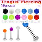 tlbvb25 316l steel tragus labret 16g w a 2.5mm acrylic uv ball 