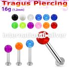 tlbvb4s 316l steel tragus labret 16g w a 4mm acrylic uv ball 