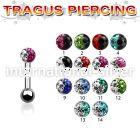 trg7e straight barbells surgical steel 316l tragus