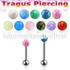 trgop3ss surgical steel barbells tragus piercing