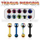 trgt9 straight barbells anodized surgical steel 316l 