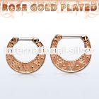 vsepfr16 straight barbells silver 925 septum