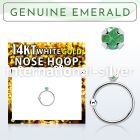 whge10 nose hoop gold ear lobe