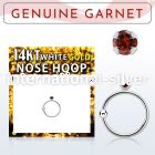 whge2 nose hoop gold ear lobe