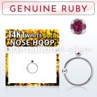 whge5 nose hoop gold ear lobe