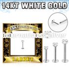 wlbz 14k white gold labret with clear cz