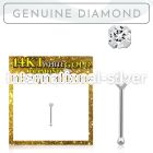 wnpdb1 nose bone gold nose