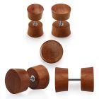 ipswo cheaters  illusion plugs and tapers organic body jewelry ear lobe