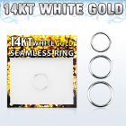 wsel20 seamless segment rings gold nose