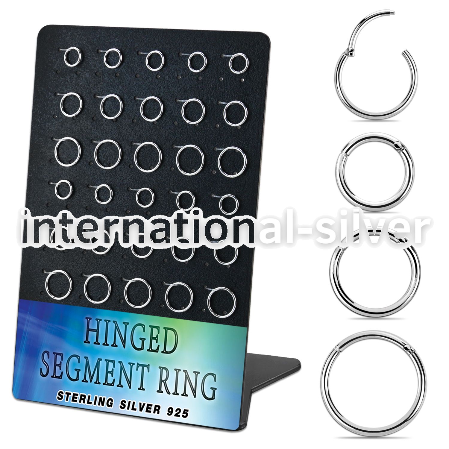 brvsegh1 925 silver seamless and segment rings ear othersear lobe ear othersseptum piercing