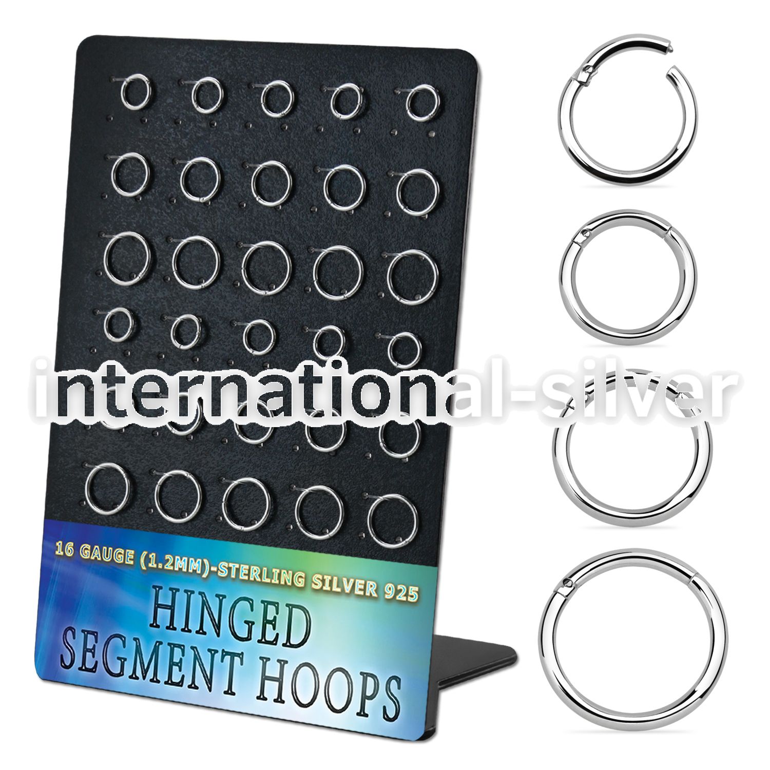 brvsegh2 925 silver seamless and segment rings ear lobe septum piercing