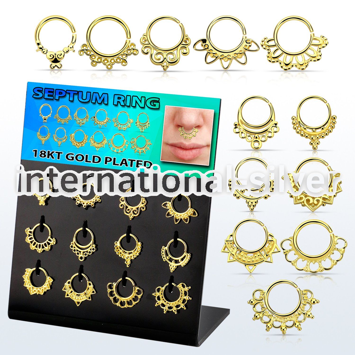 dnsm138 seamless segment rings silver 925 septum