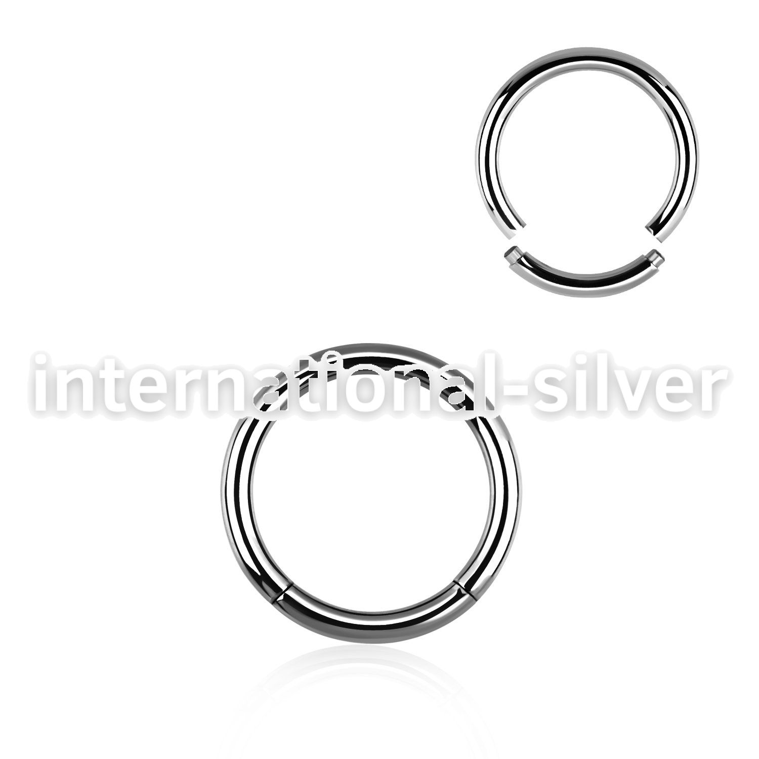 seg12 seamless segment rings surgical steel 316l ear lobe
