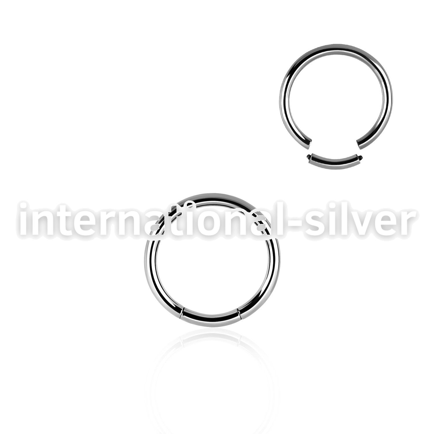 seg16 seamless segment rings surgical steel 316l ear lobe