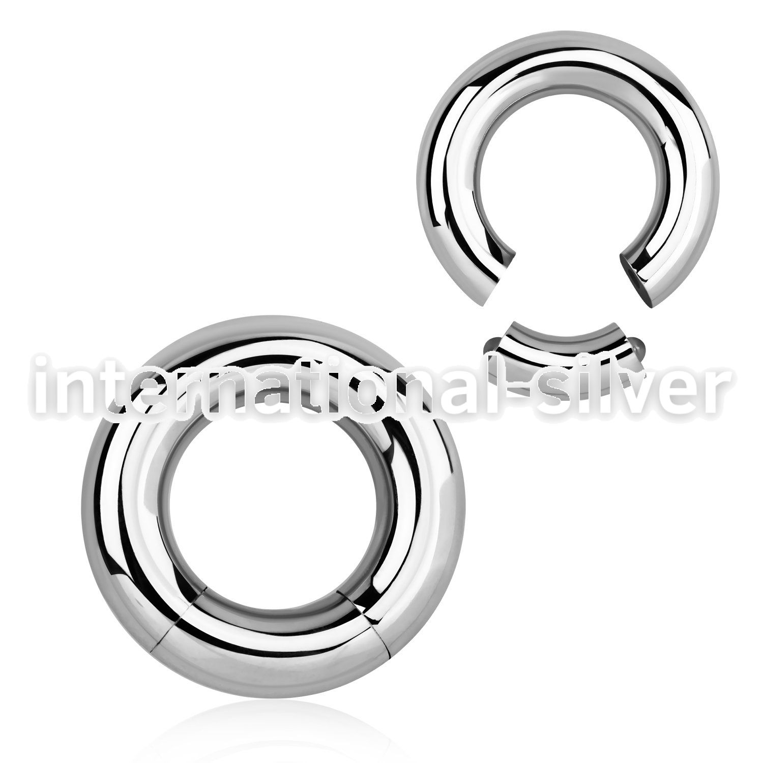 seg2 seamless segment rings surgical steel 316l ear lobe