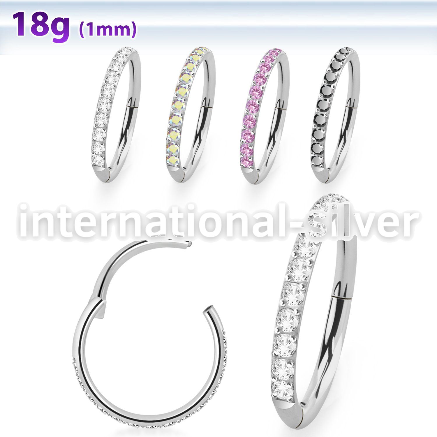 sgshs10 steel hinged segment hoop 18g cnc pave set cz