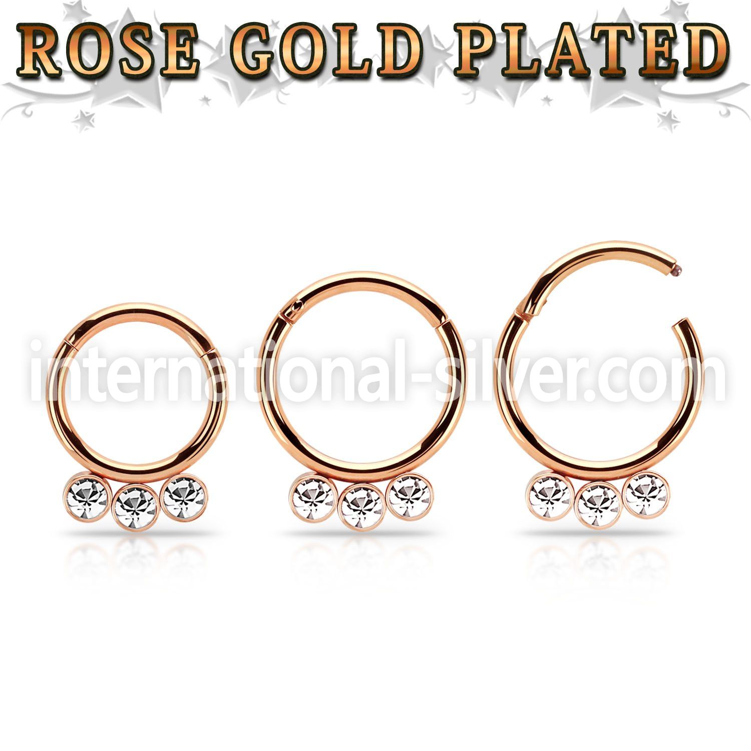 seghr16f anodized surgical steel seamless and segment rings ear othersear lobe ear otherseyebrow helix intim septum piercing