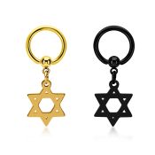 bcrtgdsr hoops captive rings anodized surgical steel 316l ear lobe