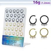 brsegh20 anodized surgical steel seamless and segment rings ear lobe septum piercing