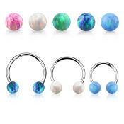 cbeop4ss surgical steel circular barbells ear othersear lobe ear otherseyebrow helix nose septum piercing