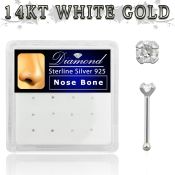 dnbpd nose bone silver 925 nose