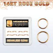 drsel1 seamless segment rings gold ear lobe