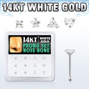 dwnb13 gold nose bones nose piercing