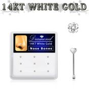 dwnb15 gold nose bones nose piercing